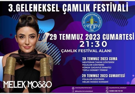 Çamlık Kültür Festivali